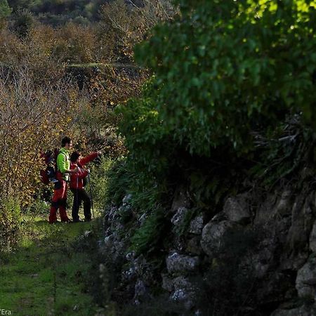 Casa Rural Lera Torre de Fontaubella エクステリア 写真