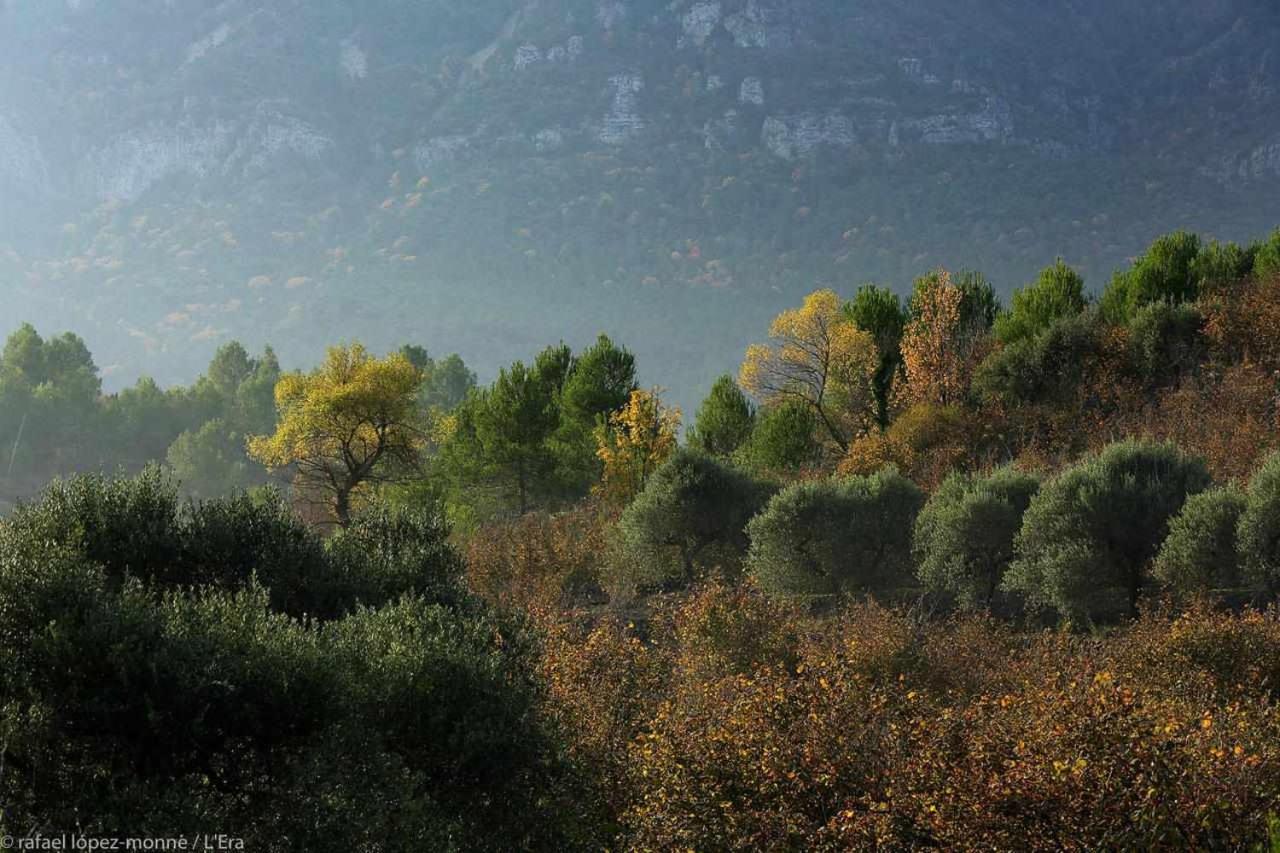 Casa Rural Lera Torre de Fontaubella エクステリア 写真